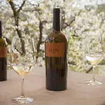 Zuani Casa * San Floriano del Collio
